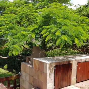 Braai area with Lush garden