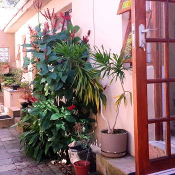 Apartment Dual Entrance to each bedroom