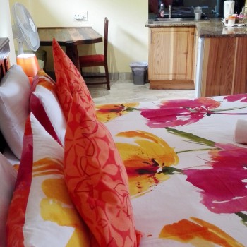 Sienna: King size bed/Twin beds with private balcony